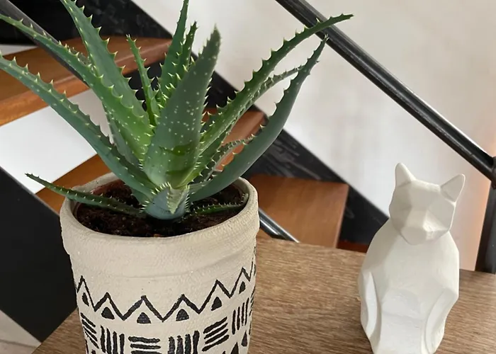 Closerie 3 Etoiles La Poire A Loup, Domaine Avec Piscine *